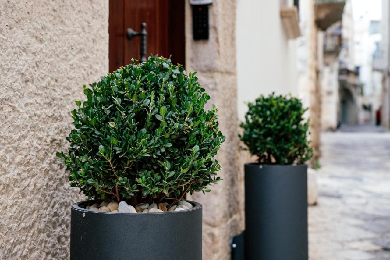 Bed And Breakfast Le Foglie Altamura Exterior foto